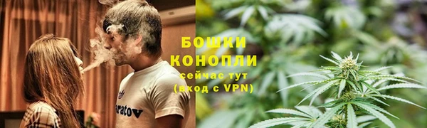 PSILOCYBIN Арсеньев