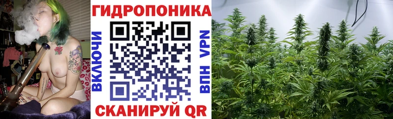 Шишки марихуана сатива  blacksprut зеркало  Бугуруслан 